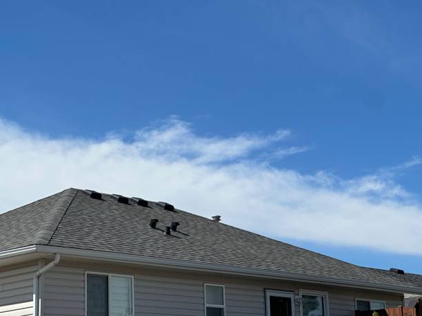 Best Rubber Roofing (EPDM, TPO)  in Mesquite, TX